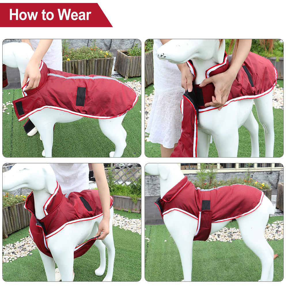 Large Dog Autumn/Winter Waterproof Jacket