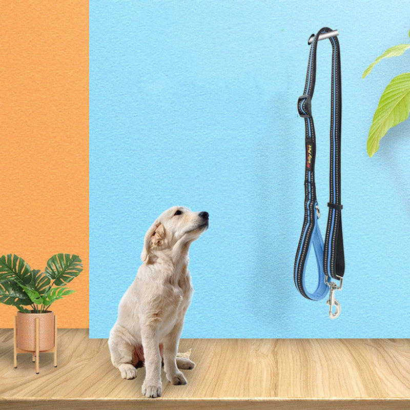 Durable Nylon Pet Retractable Assisted Control Leash