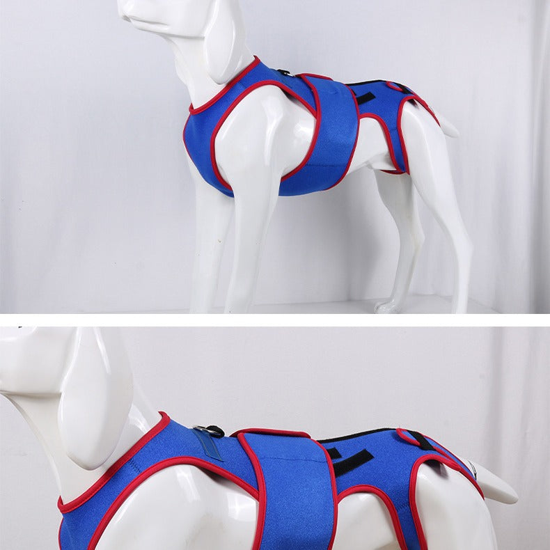 Pet Spine Support/Posture Correction Jacket