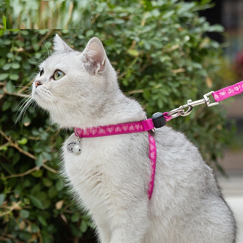 Pet Chest Strap Vest Leash With Bell For Small Pets