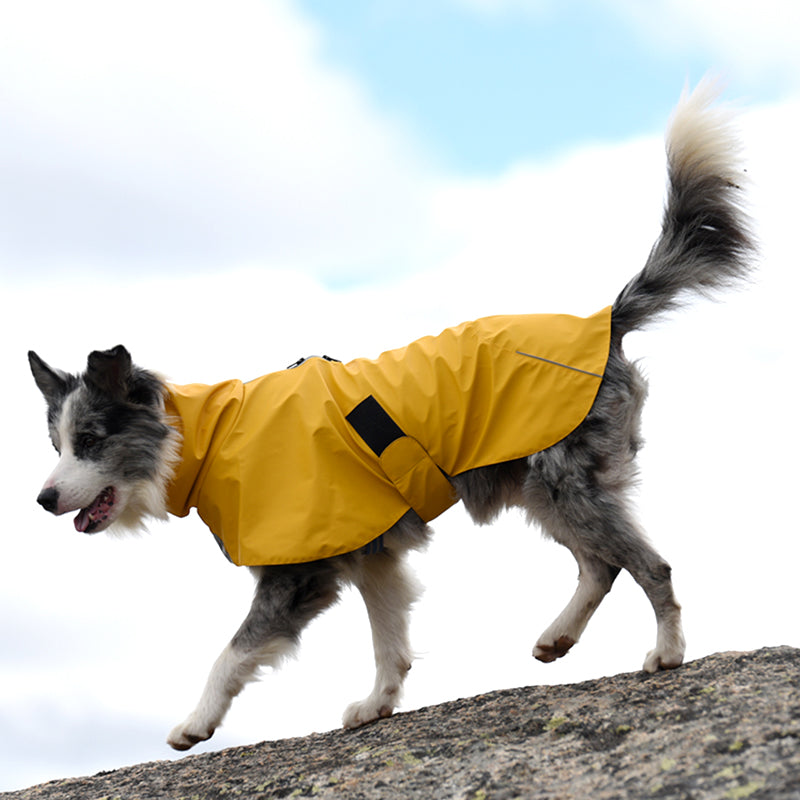Pet Raincoat Windbreaker Jacket