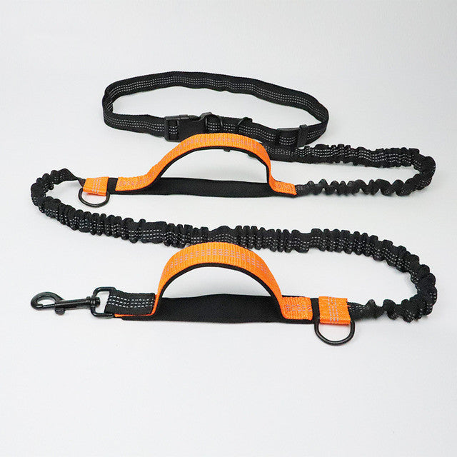 Adjustable Jogging Pet Harness Collar Control Leash